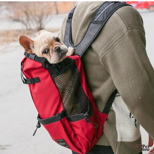 Mochila Canguru Pet Outback