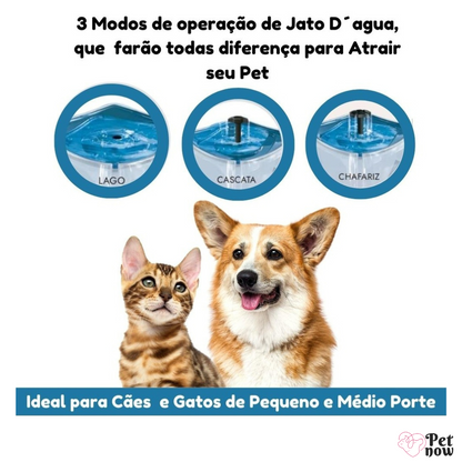 Bebedouro Mec Pet: Água Fresca e Purificada para Seu Pet Todo Dia!