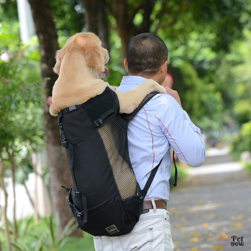 Mochila Canguru Pet Outback