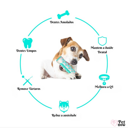 EasyPet™ - Limpeza Dental Nunca Foi Tão Divertida!