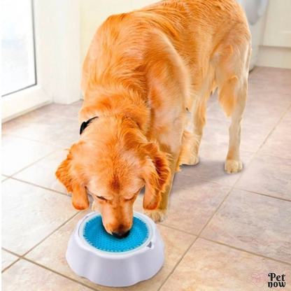 Tigela Gelada para Pets - Água Fresca por Horas