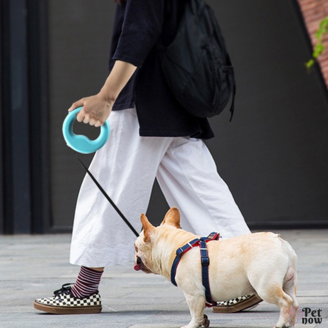Guia Retrátil Redonda Pet: Botão de Controle para Cachorros e Gatos