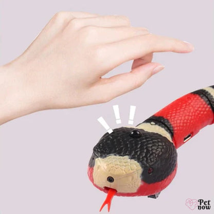 Cobra Inteligente para Gatos