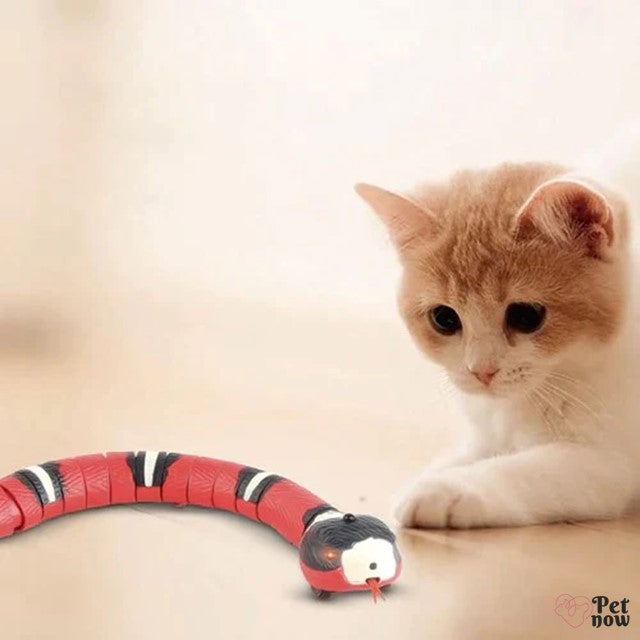 Cobra Inteligente para Gatos