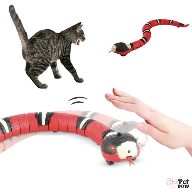 Cobra Inteligente para Gatos