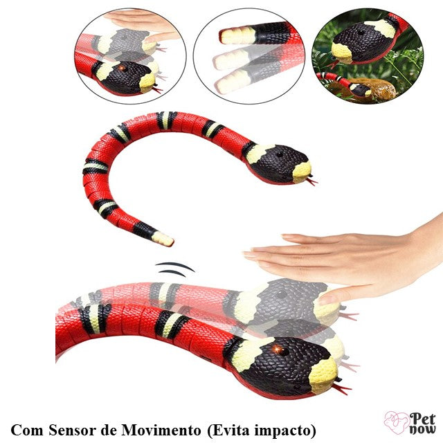Cobra Inteligente para Gatos