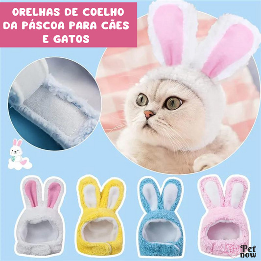 Orelhas de Coelho da Páscoa para Cães e Gatos