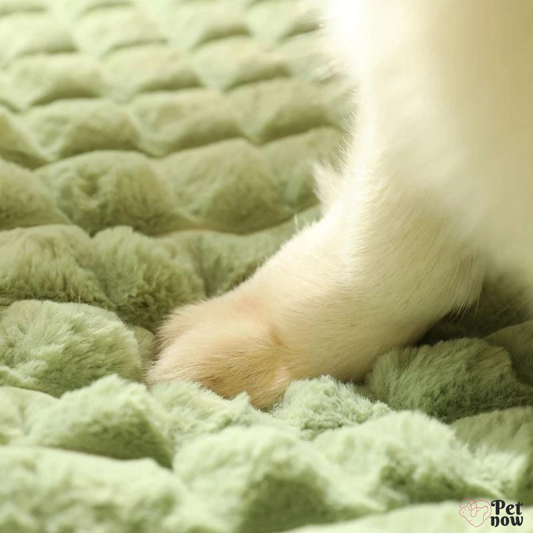 Cama de Inverno para Pets com Apoio Aconchegante
