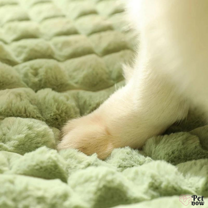 Cama de Inverno para Pets com Apoio Aconchegante