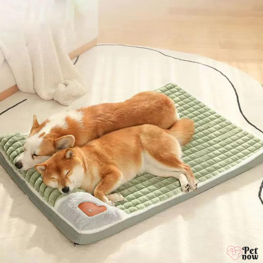 Cama de Inverno para Pets com Apoio Aconchegante