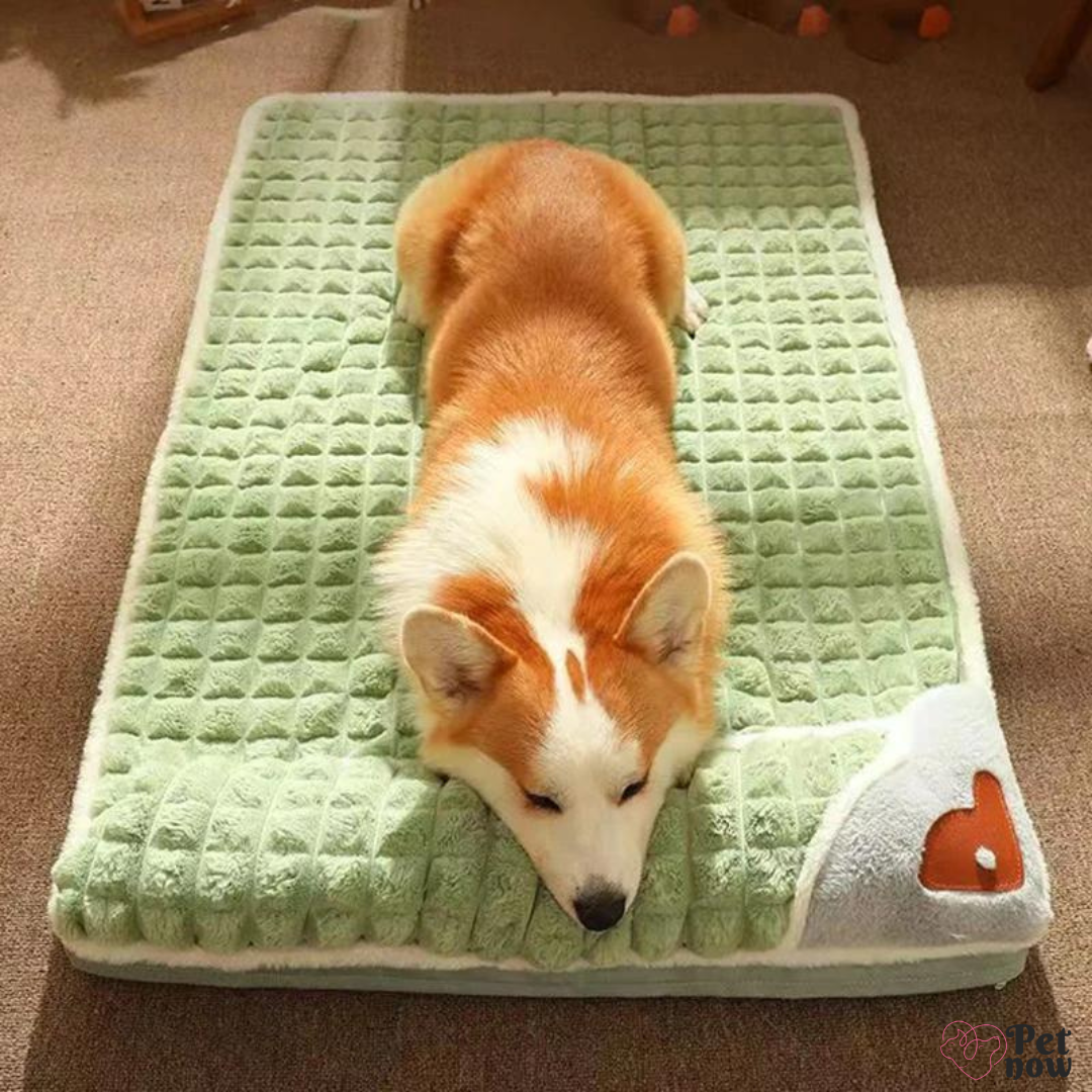 Cama de Inverno para Pets com Apoio Aconchegante