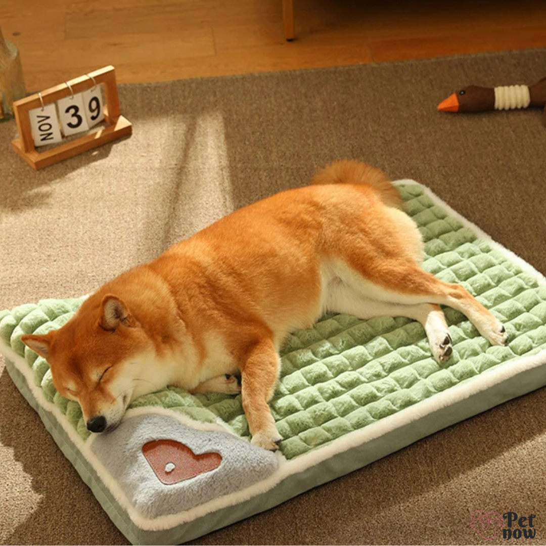 Cama de Inverno para Pets com Apoio Aconchegante