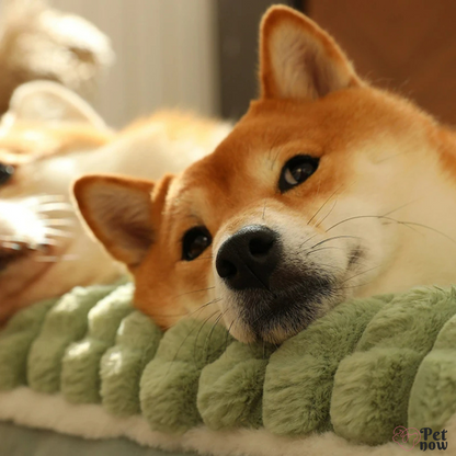 Cama de Inverno para Pets com Apoio Aconchegante