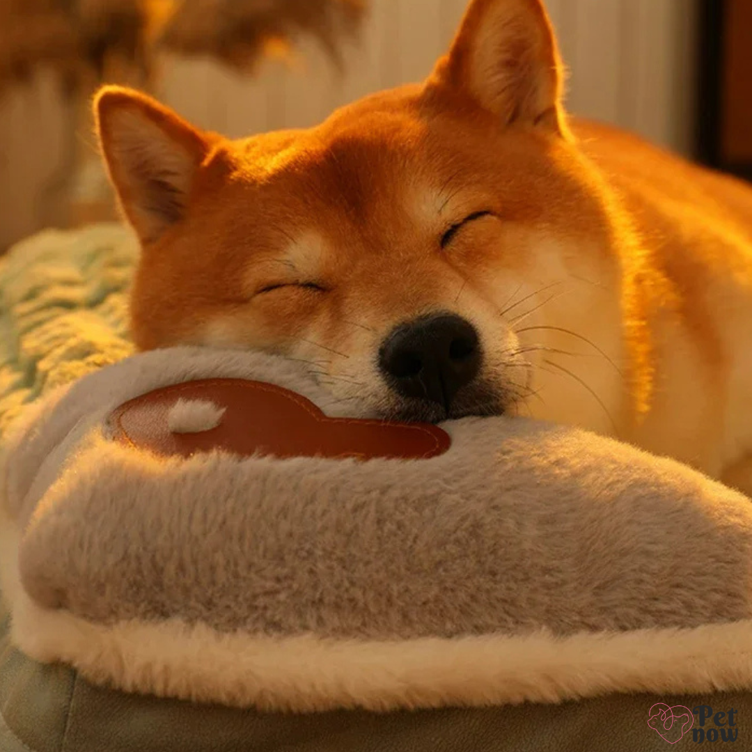 Cama de Inverno para Pets com Apoio Aconchegante