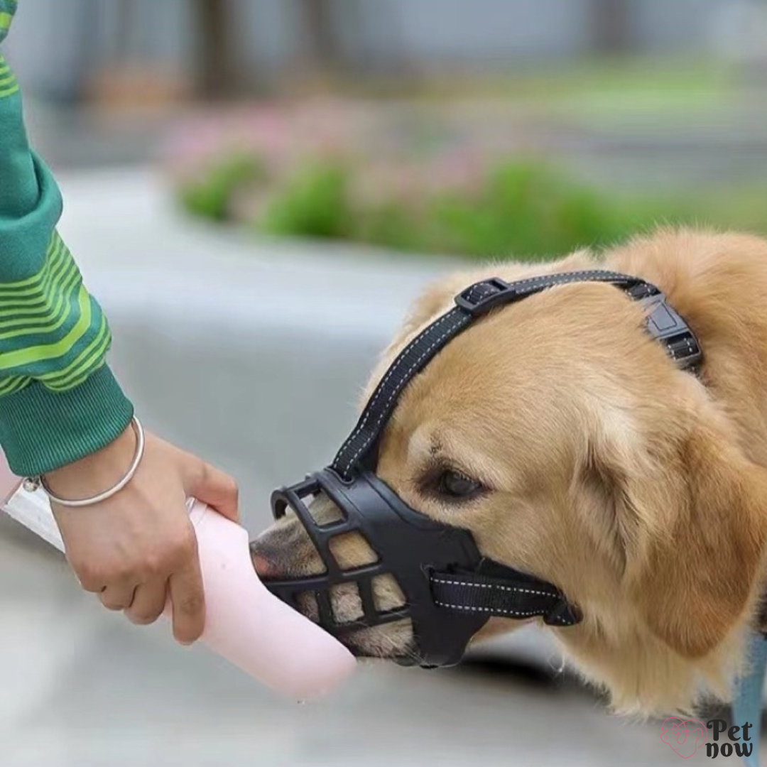 Focinheira de Silicone para Cachorros - Conforto e Segurança para Todas as Raças