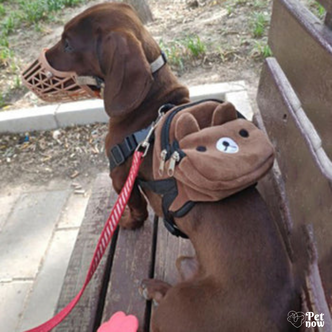 Mochila Multiuso que Une Estilo e Conforto!