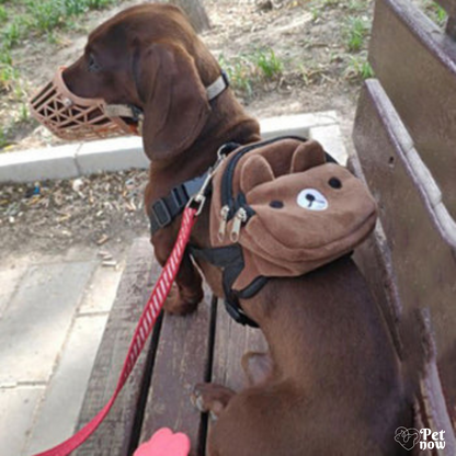 Mochila Multiuso que Une Estilo e Conforto!