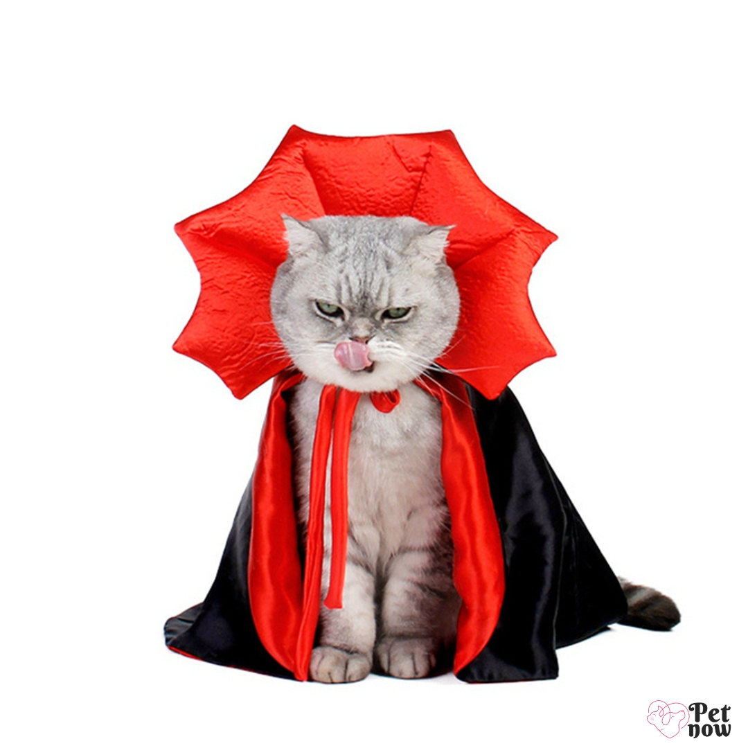 Capa de Vampiro Irresistível para Cães e Gatos