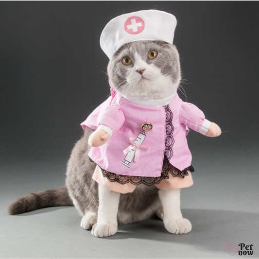 Fantasia Médica Rosa para Cães e Gatos: Elegância Animal