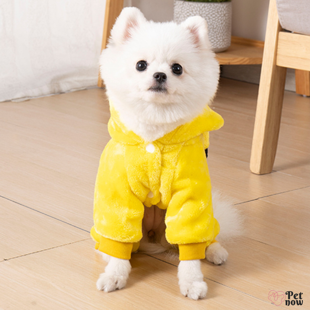 Fantasia de Inverno do Pikachu para Cães e Gatos - Mantenha seu Pet Aquecido com Estilo