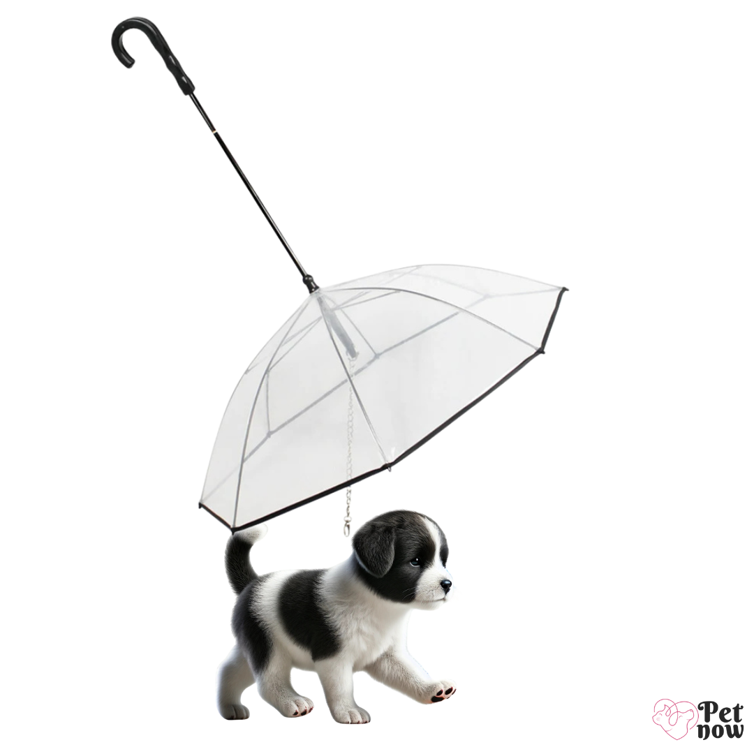 Guarda-Chuva Impermeável para Cães - Coleira de Proteção para Dias de Chuva ATUBAN