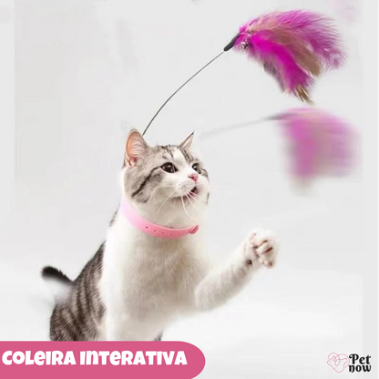 Coleira Interativa Brinquedo Teaser com Pena para Gatos