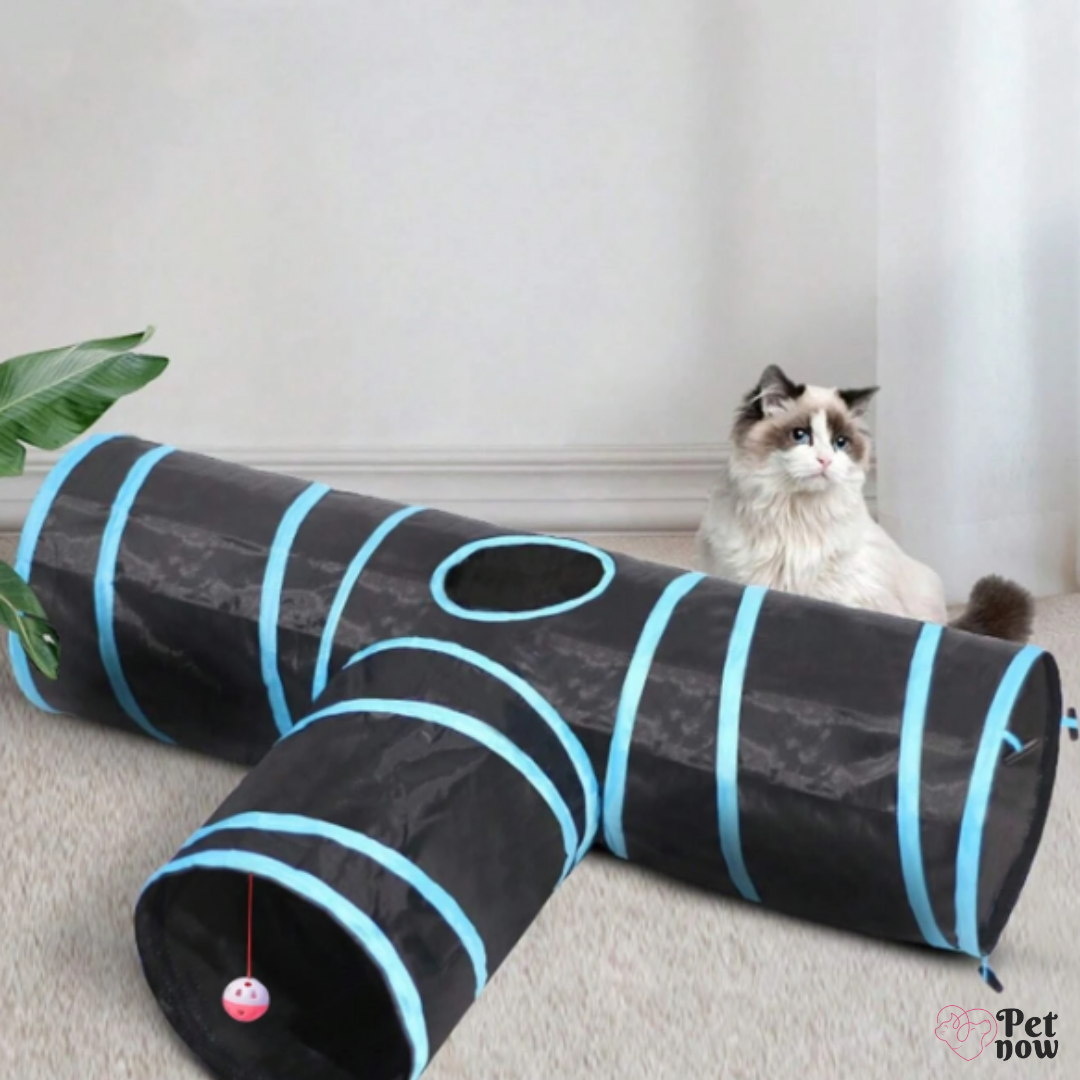 Túnel para Gatos Dobrável - FoldPetTunnel