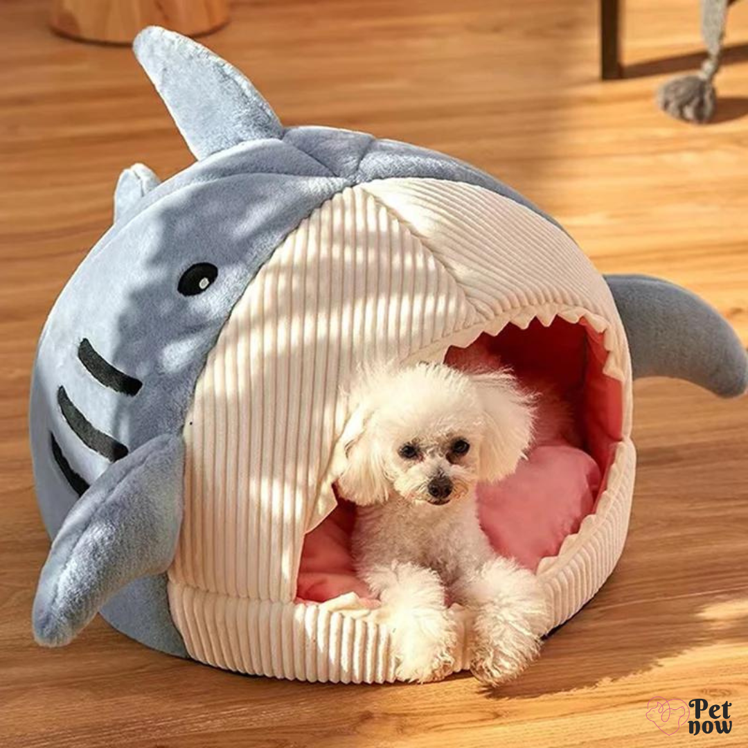 Cama de Tubarão Fofinha