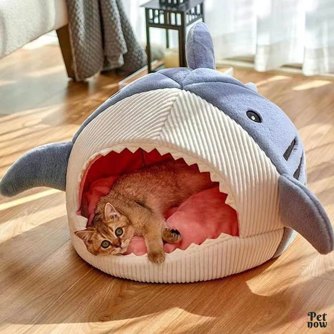 Cama de Tubarão Fofinha