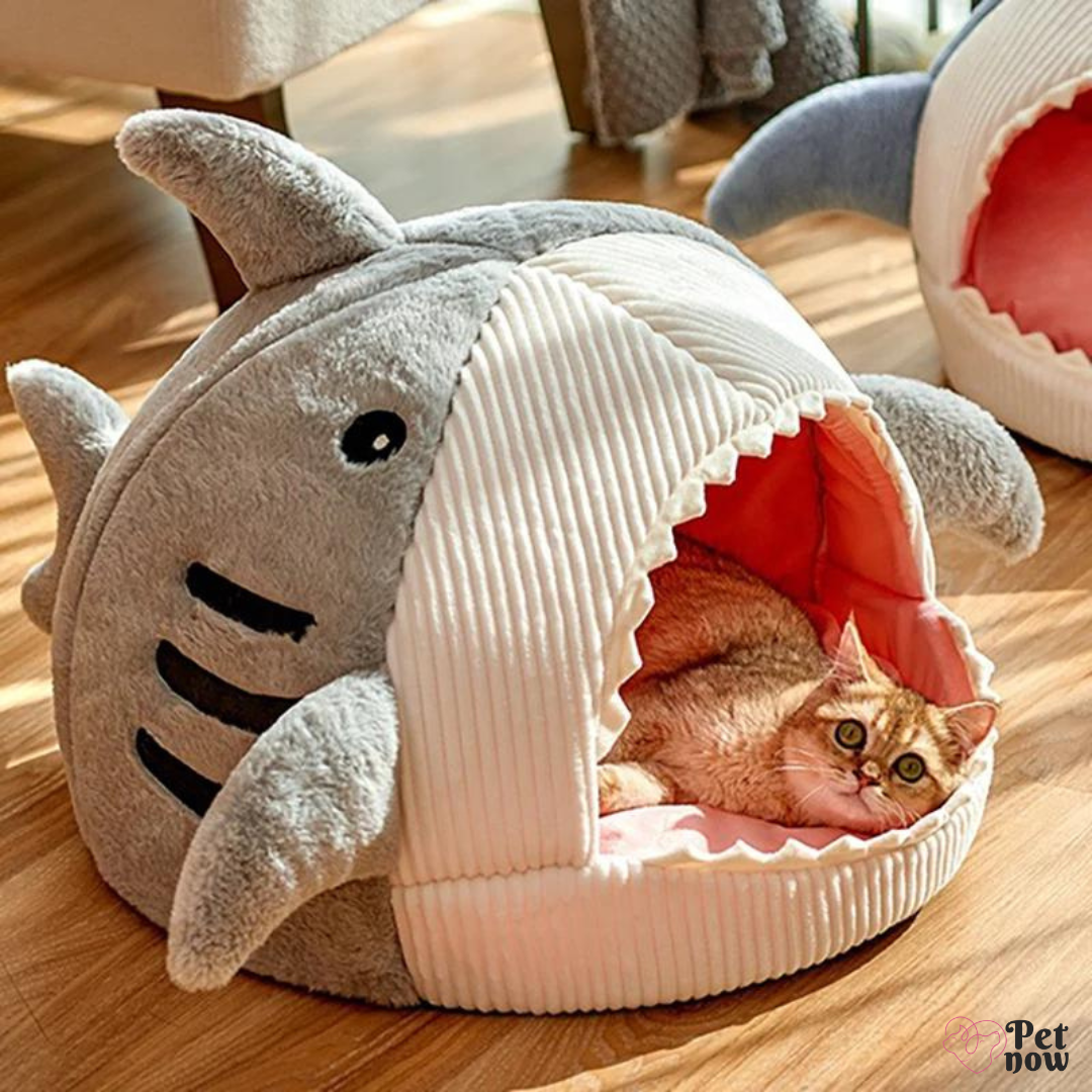Cama de Tubarão Fofinha