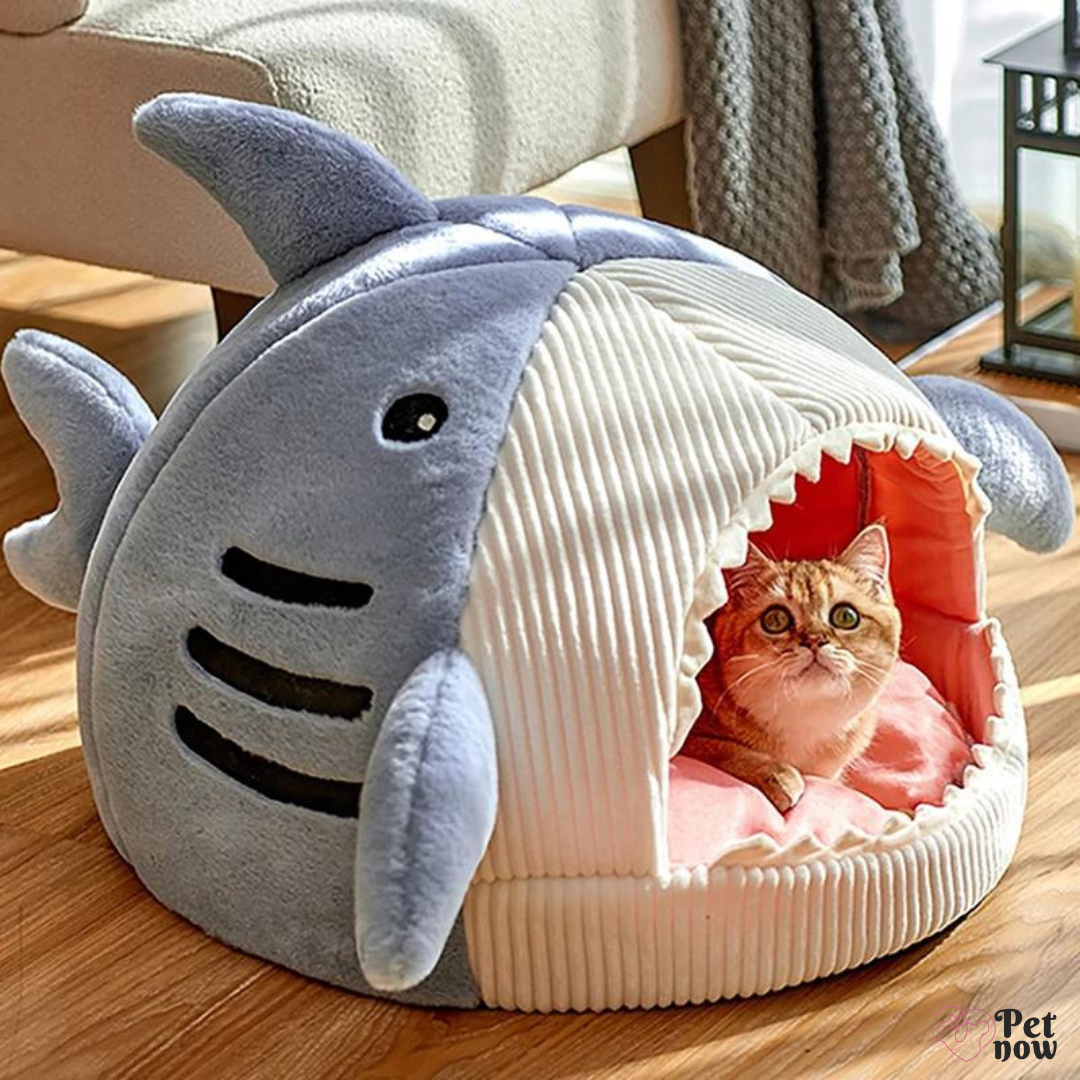Cama de Tubarão Fofinha