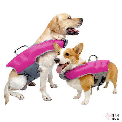 Colete Salva-Vidas com Boia para Cães