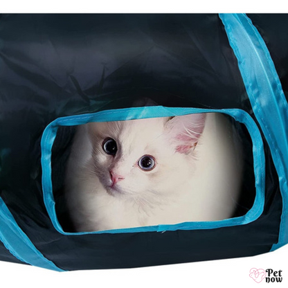 Túnel para Gatos Dobrável - FoldPetTunnel