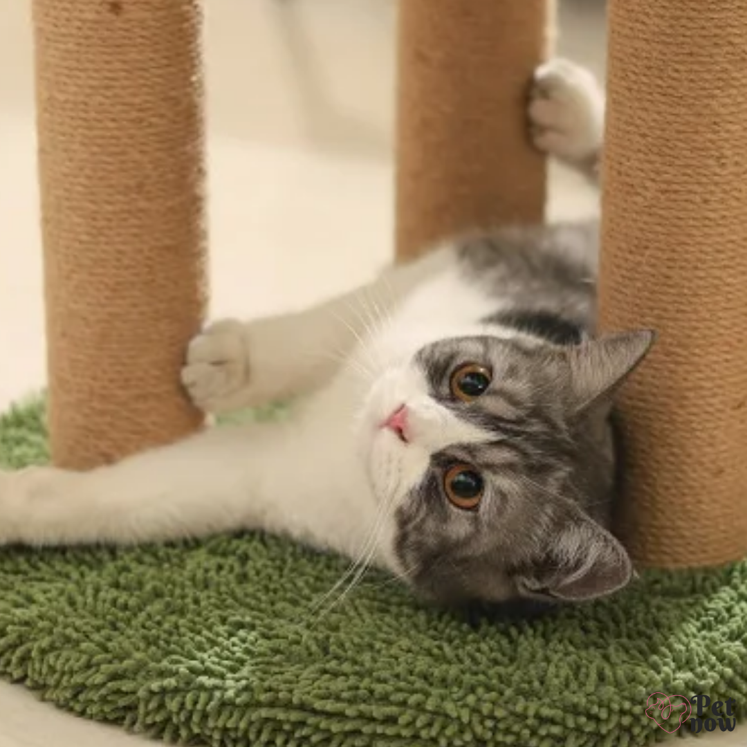 Arranhador de Sisal para Gatos Coqueiro Decorativo