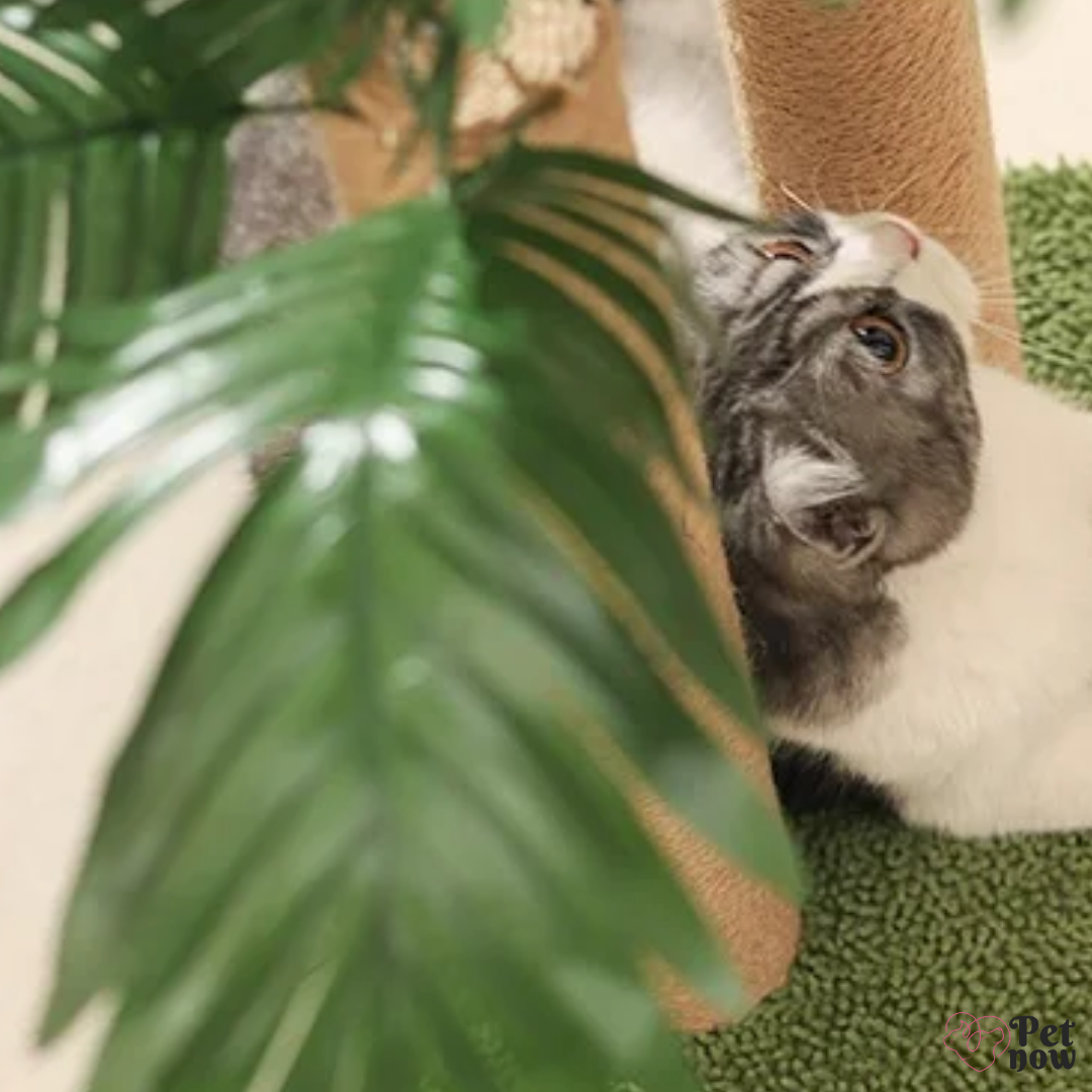 Arranhador de Sisal para Gatos Coqueiro Decorativo