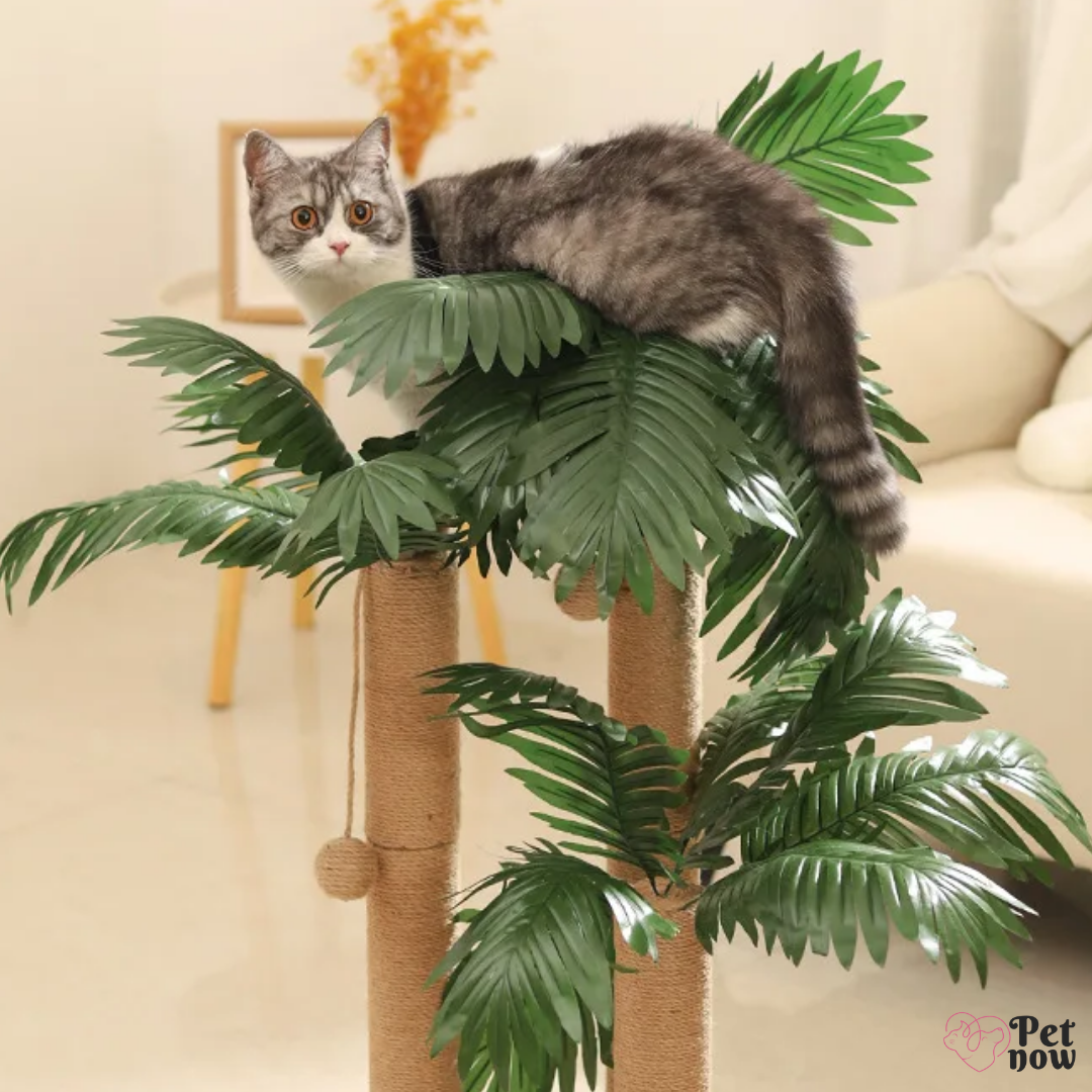 Arranhador de Sisal para Gatos Coqueiro Decorativo