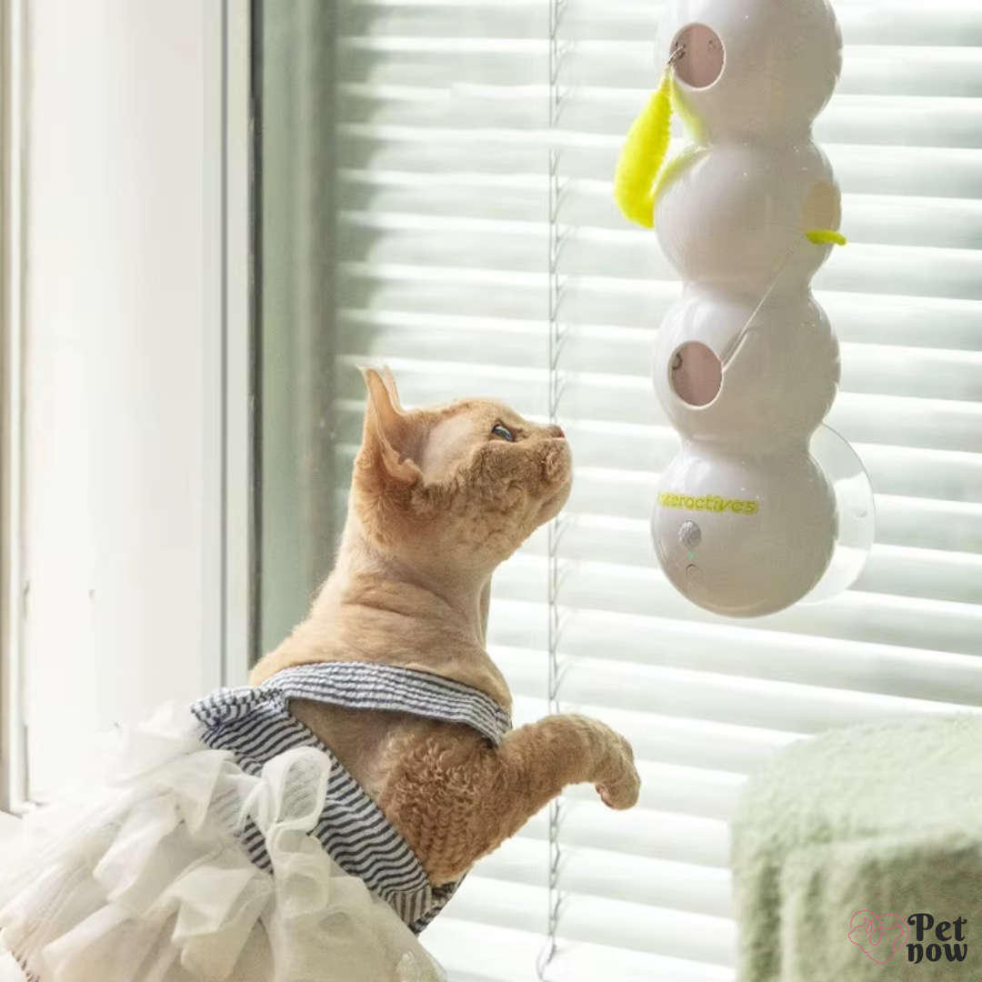 Brinquedo Interativo Lagarta para Gatos com Sensor de Movimento USB