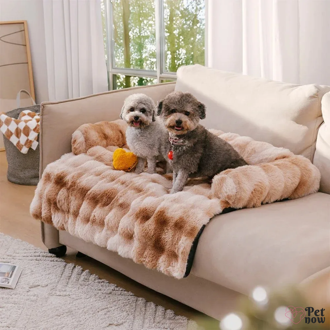 Cama para Sofá de Pelúcia - Cães e Gatos