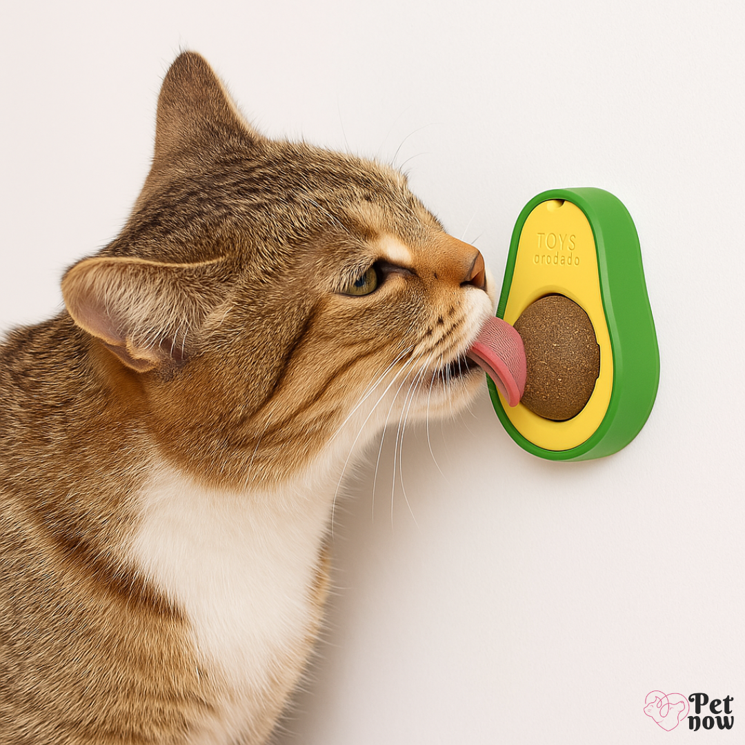 Abacatnip Bolinha de Catnip Interativa: Brinquedo de Catnip Que Vai Conquistar Seu Gato