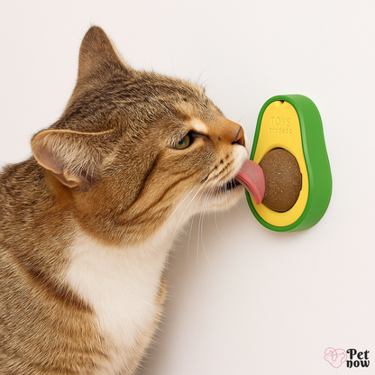 Abacatnip Bolinha de Catnip Interativa: Brinquedo de Catnip Que Vai Conquistar Seu Gato
