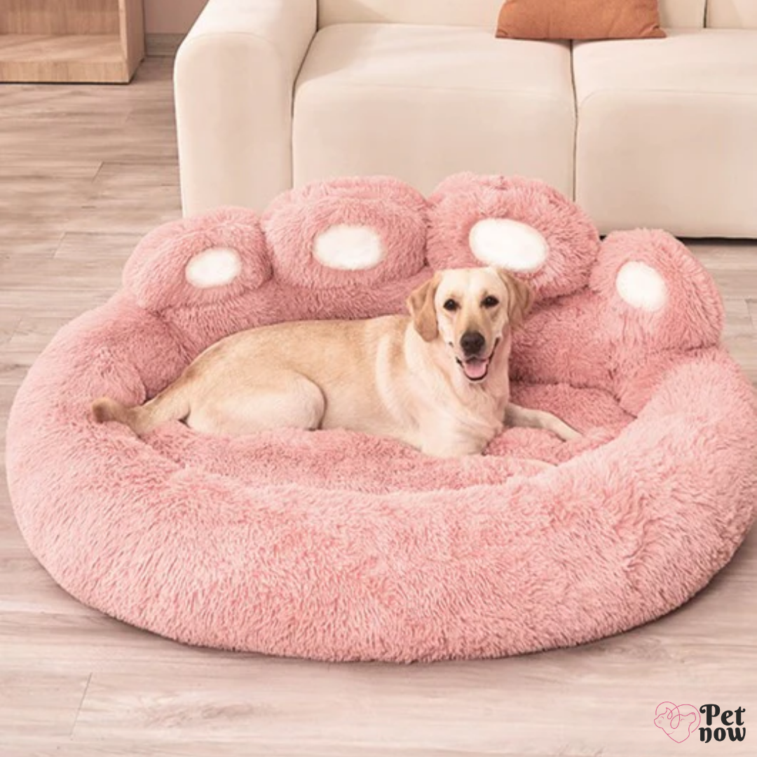 Cama de Pelúcia para Pets: Perfeita para o Inverno