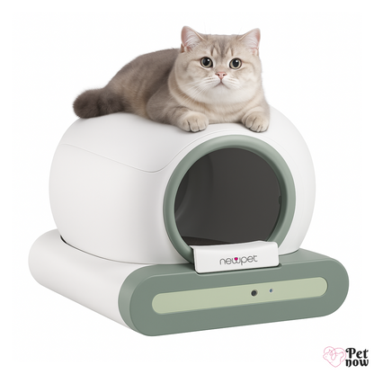 Caixa de Areia Automática para Gatos NewPet - Limpeza Automática