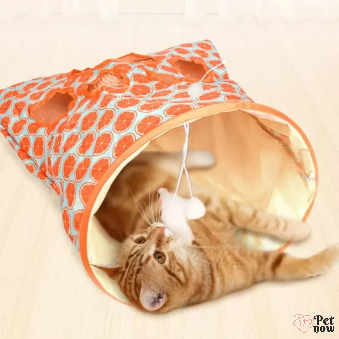 Saquinho Túnel para Gatos