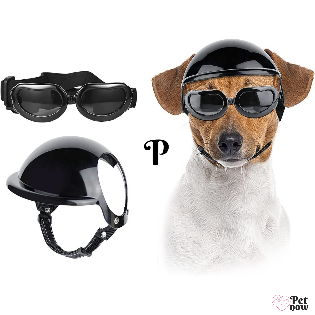 Kit de Proteção Pet: Óculos e Capacete para Cães