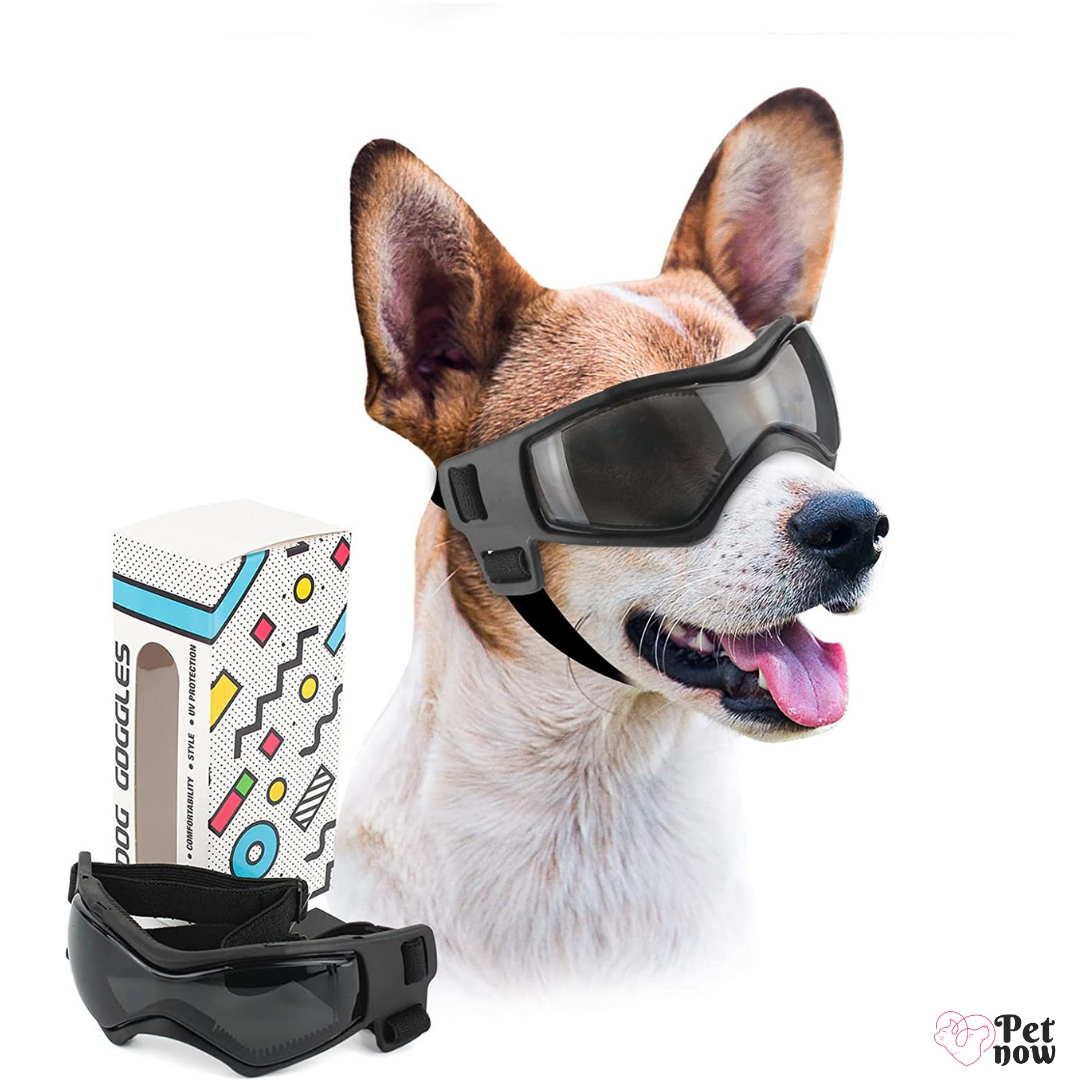 Kit de Proteção Pet: Óculos e Capacete para Cães