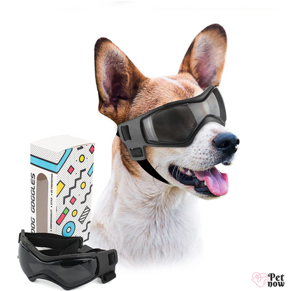 Kit de Proteção Pet: Óculos e Capacete para Cães