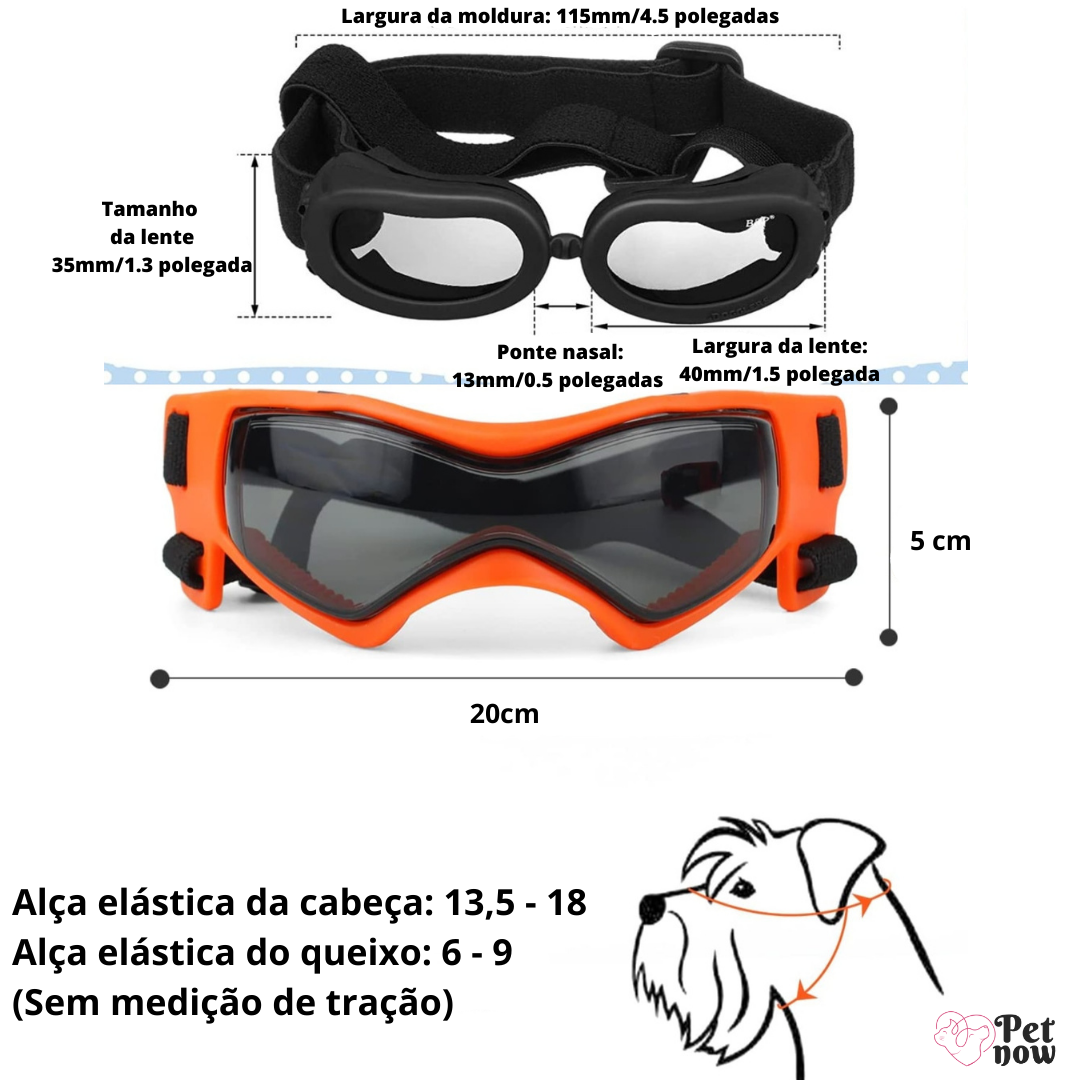 Kit de Proteção Pet: Óculos e Capacete para Cães