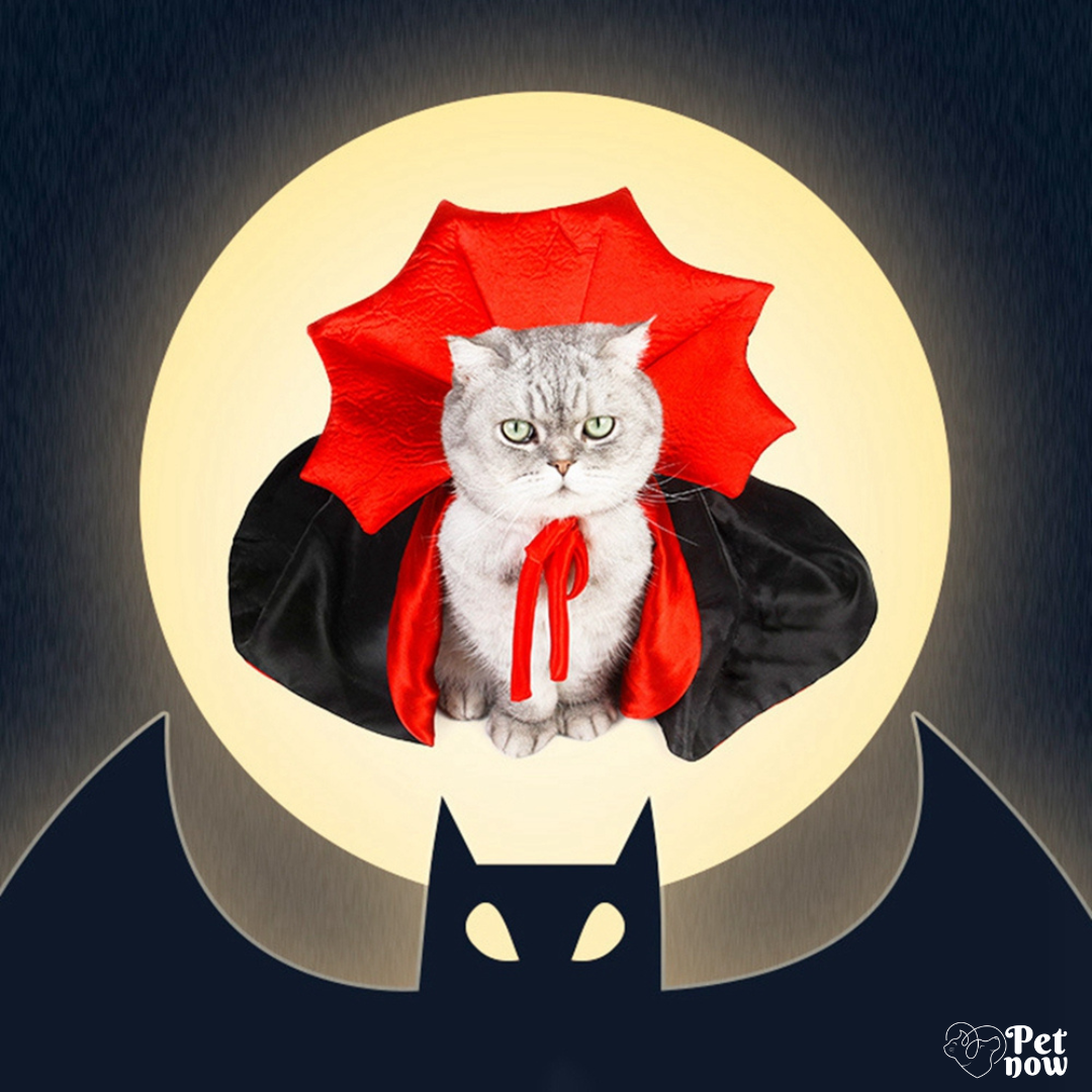 Capa de Vampiro Irresistível para Cães e Gatos