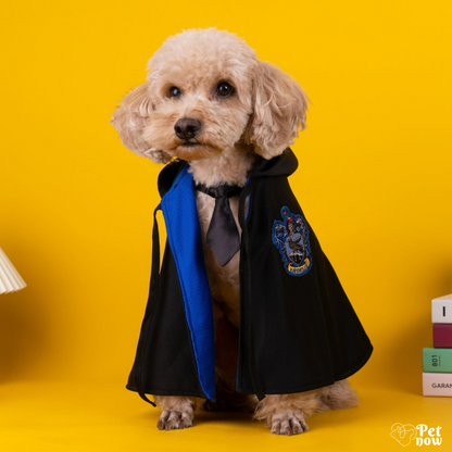 Fantasia Encantada Harry Potter para Cães e Gatos