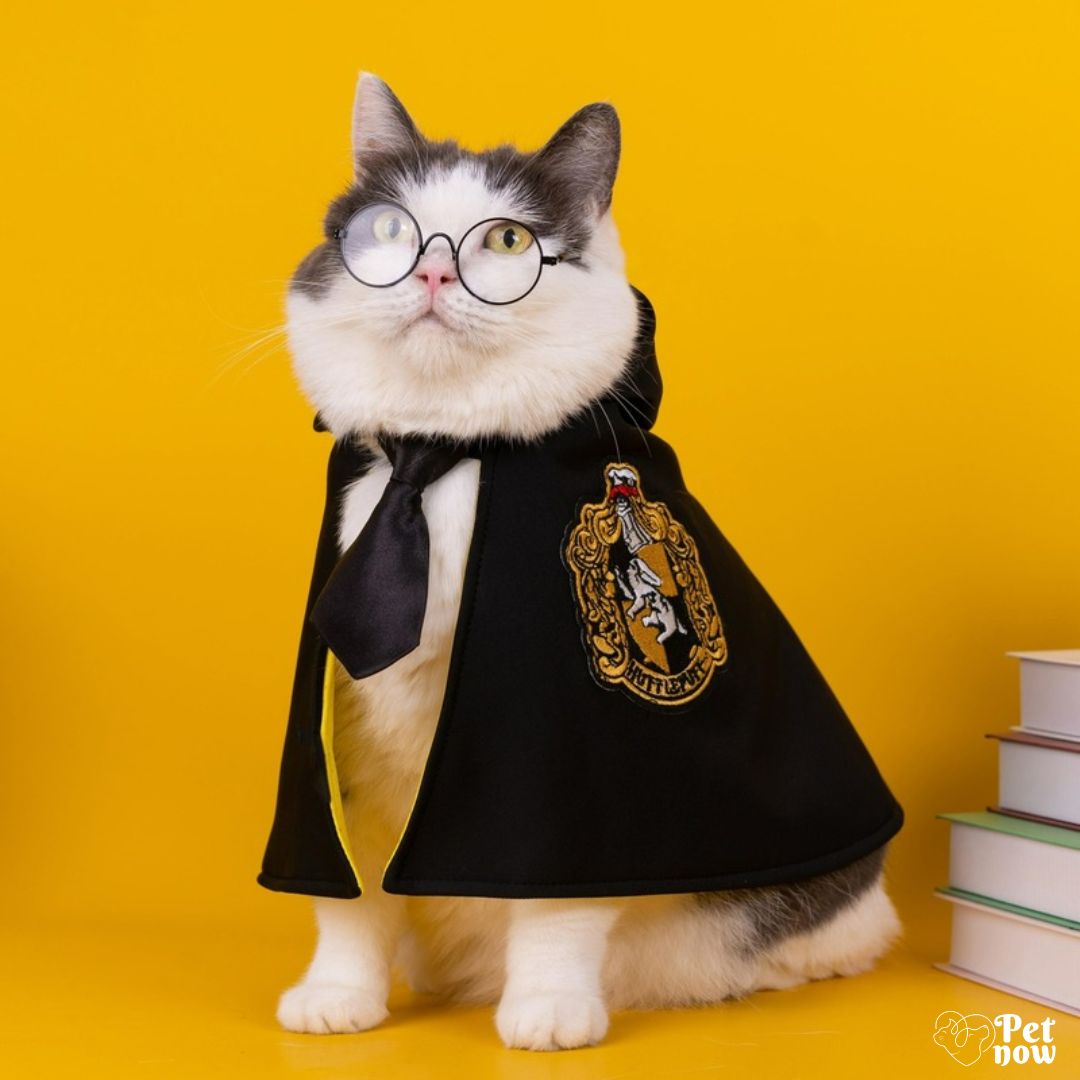 Fantasia Encantada Harry Potter para Cães e Gatos